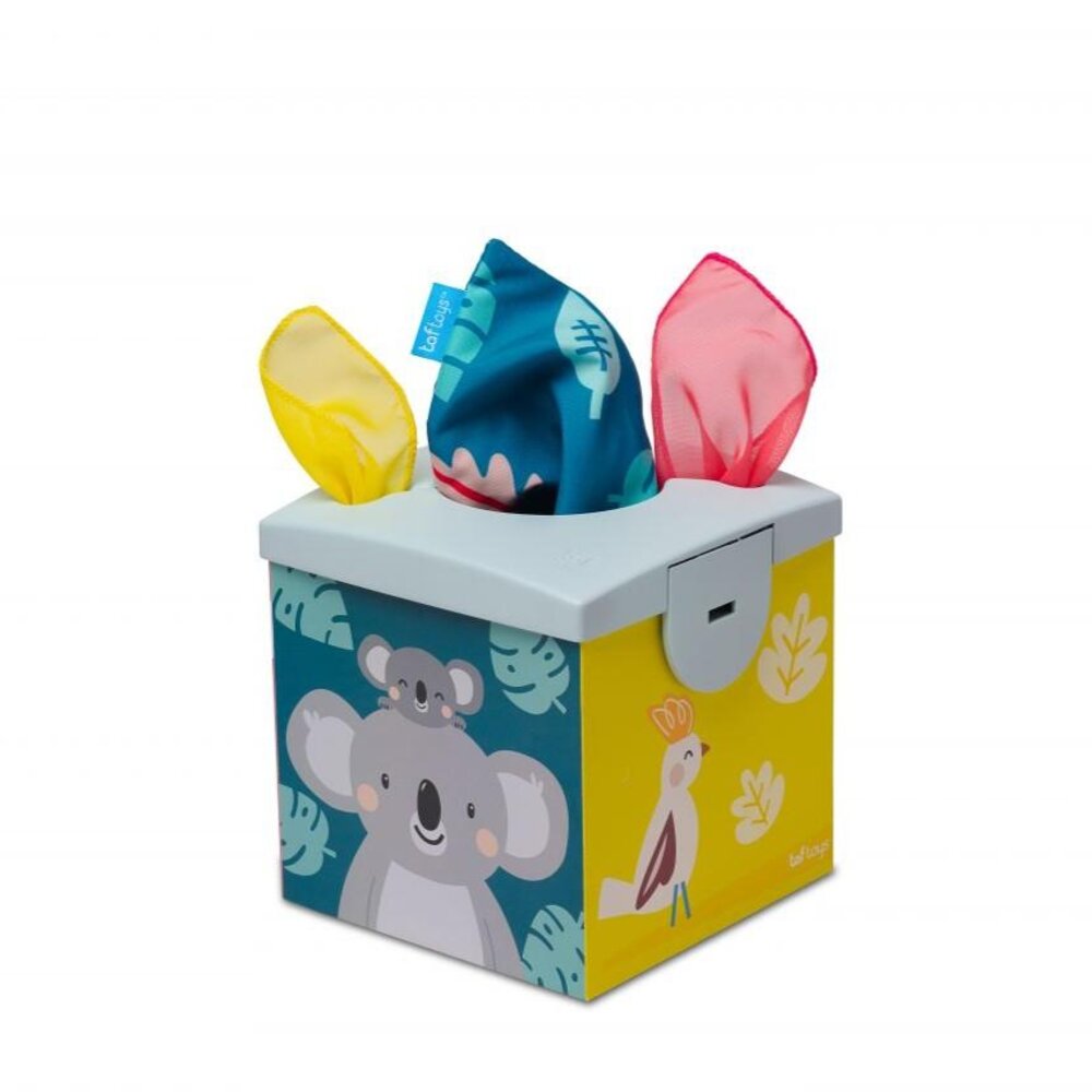Kimmy koala wonder tissue box