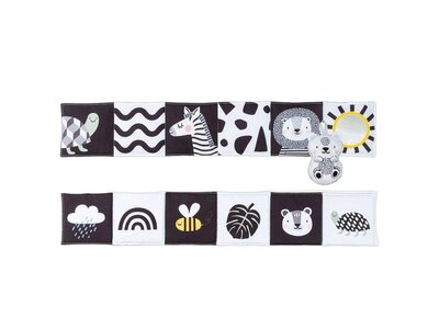 Savannah black&white book