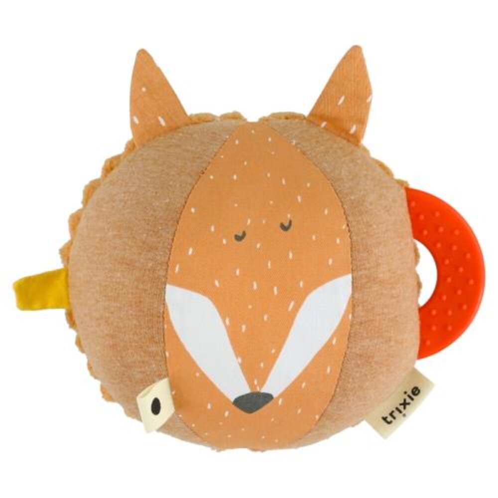 Activiteitenbal Mr. fox
