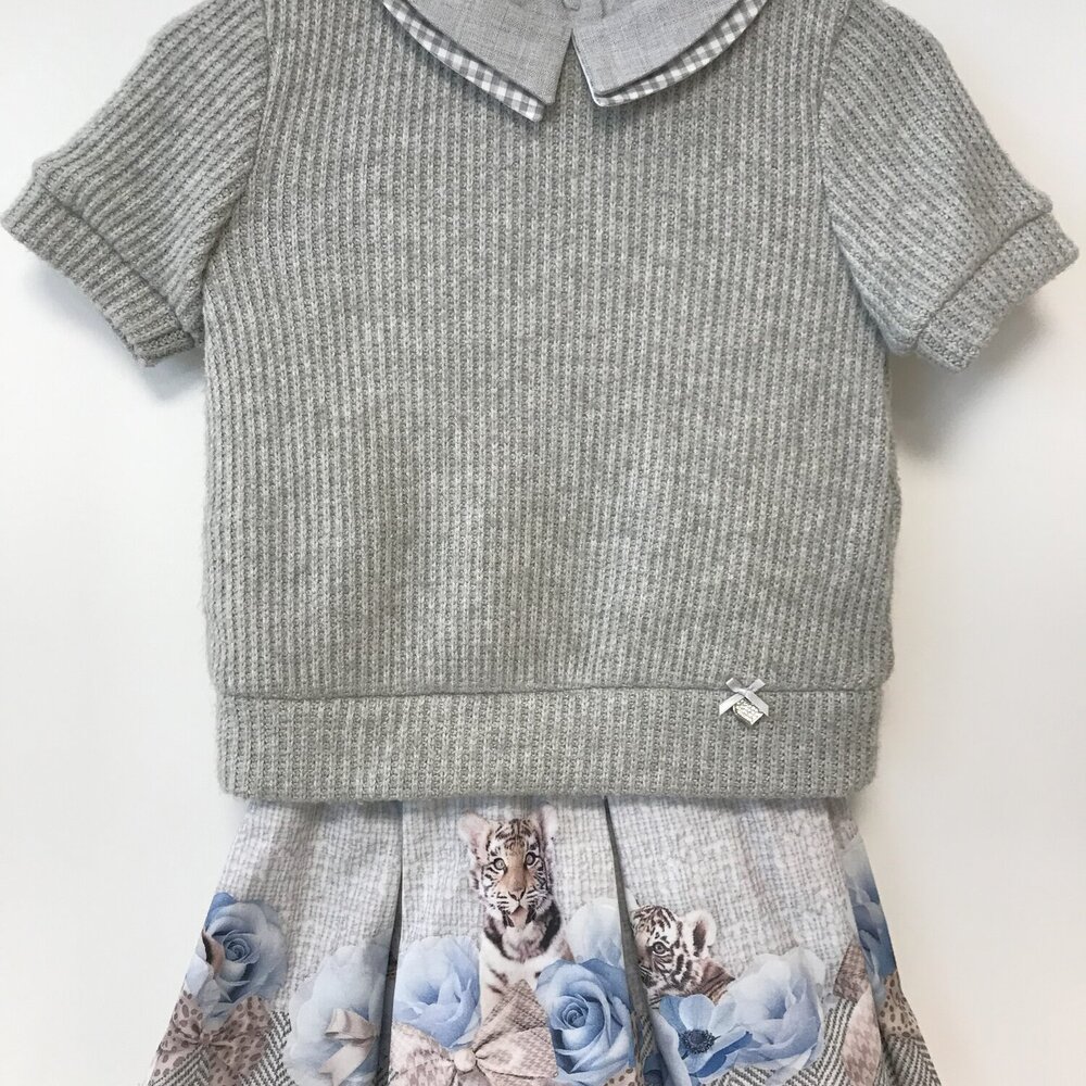 set trui & rokje met tijgerprint grijs