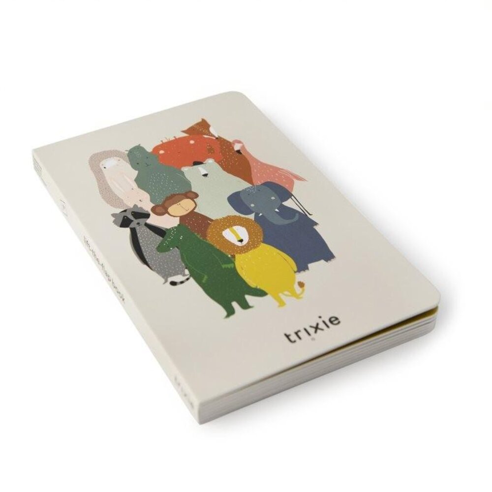 Flapjesboek