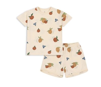 Basic set gots fruity