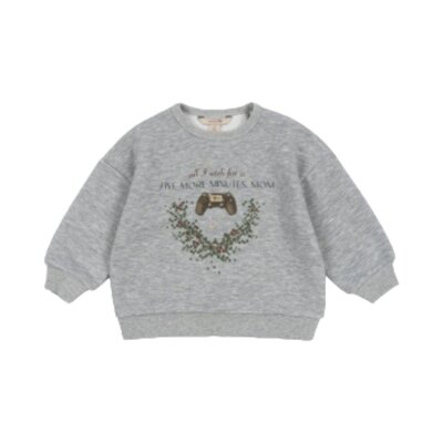 Lou sweatshirt Grey melange