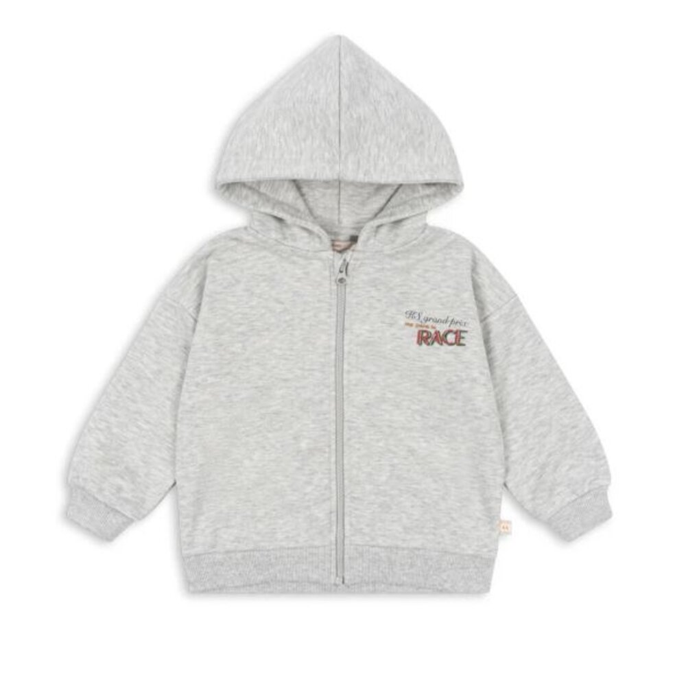 Hoodie Lou Grey melange