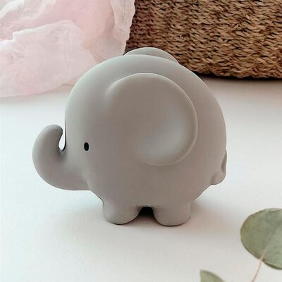 Mijn eerste safaridiertje Olifant