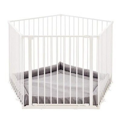 Veiligheidshek Olaf pentagon