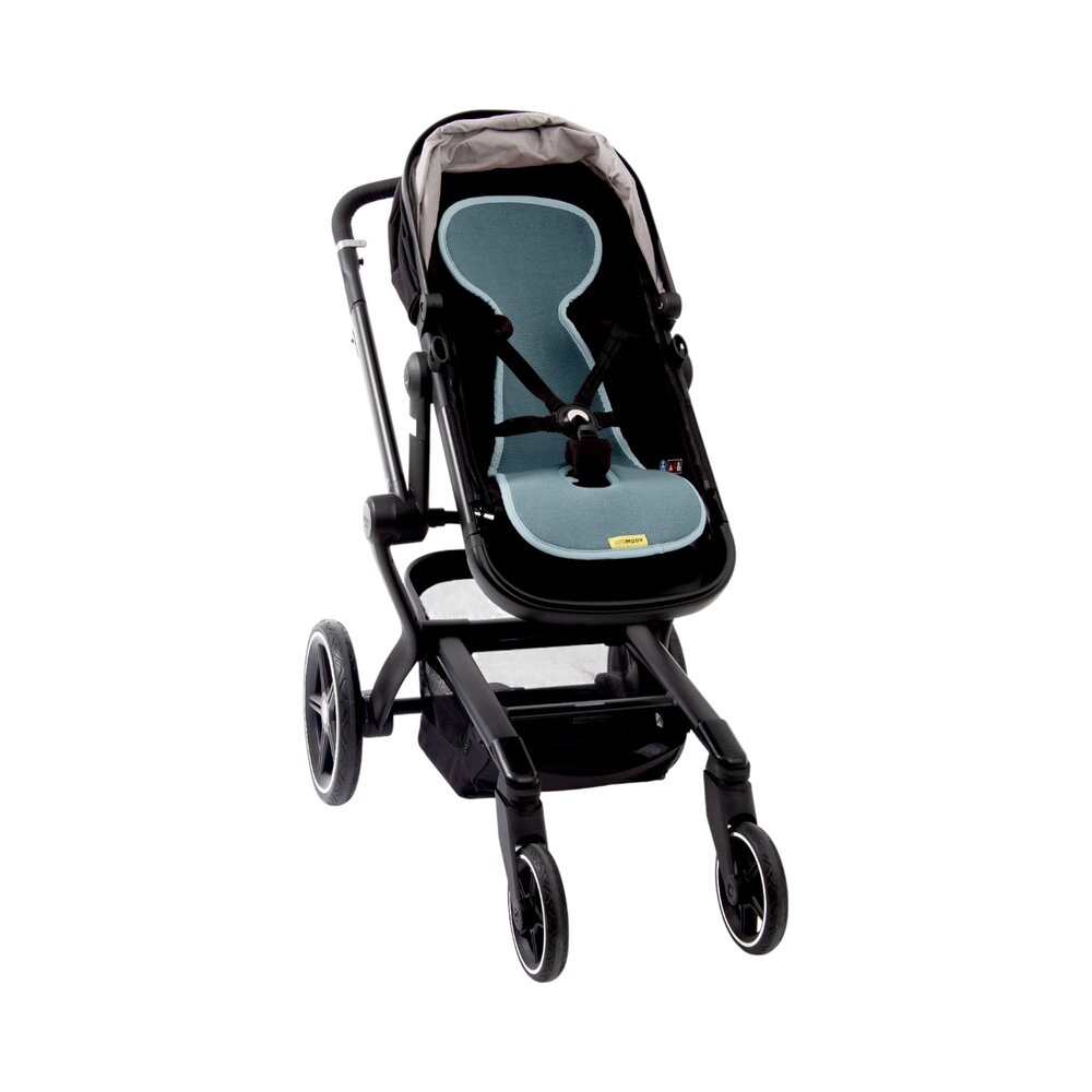 Air layer buggy Mint