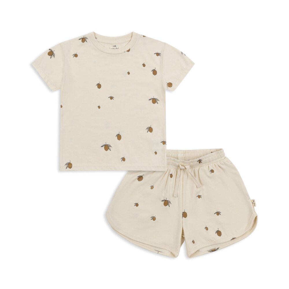 2-delige basic-set gots Lemon