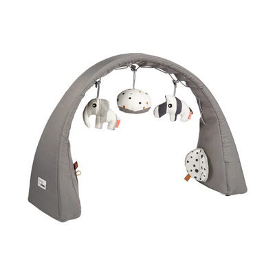 Activiteitengym Grey
