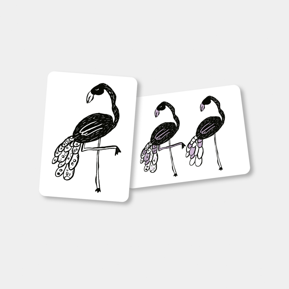 Flash cards - contrast kijk-kaarten Safari