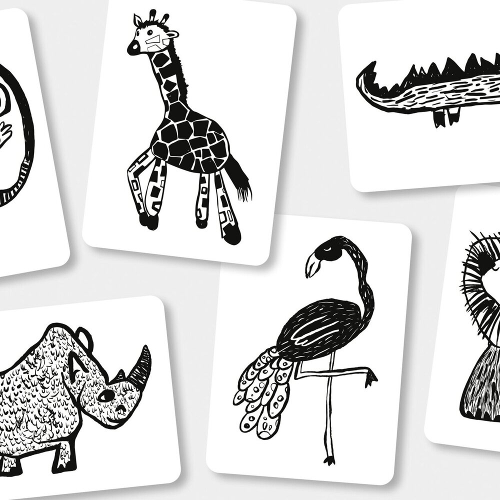 Flash cards - contrast kijk-kaarten Safari