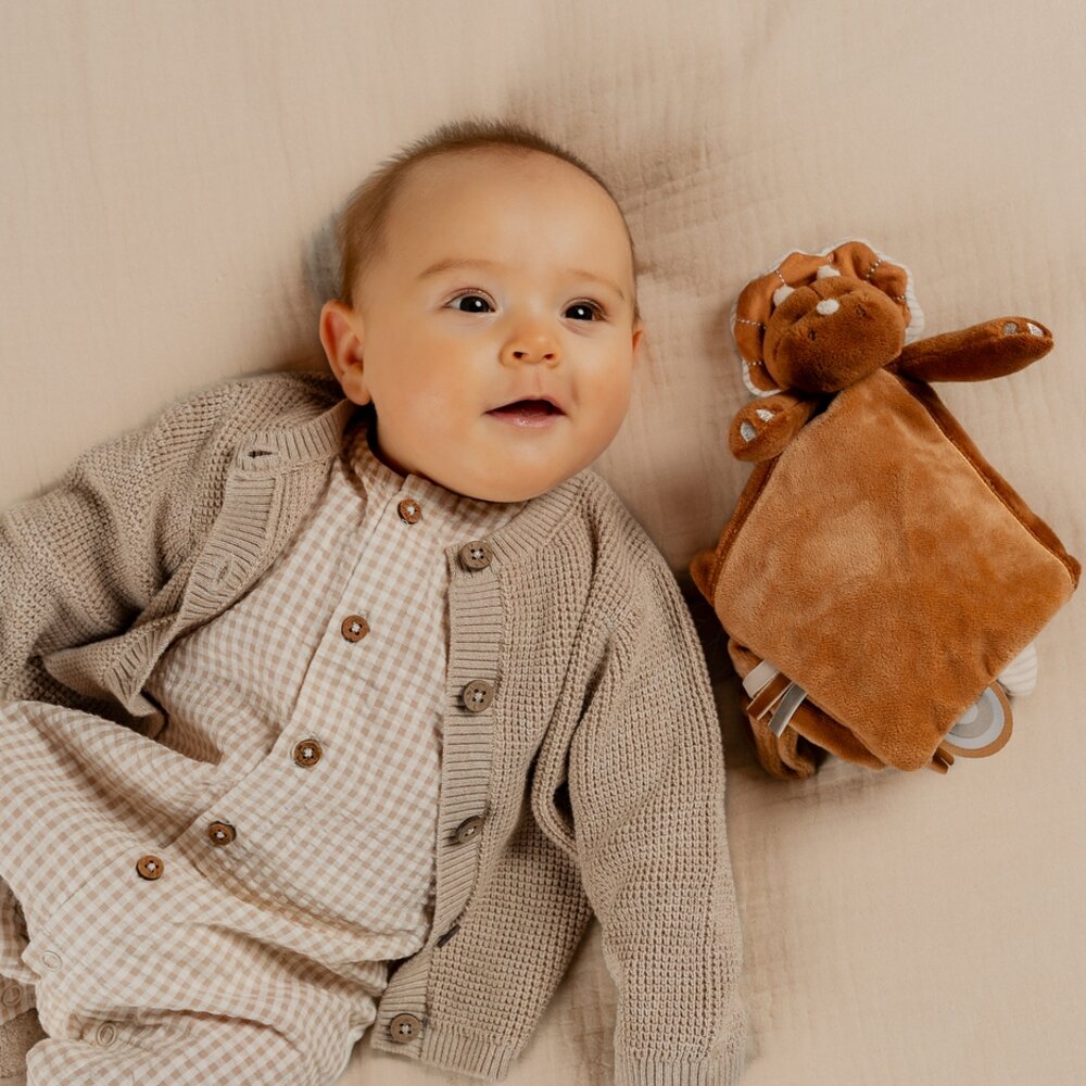Gebreid Cardigan Beige