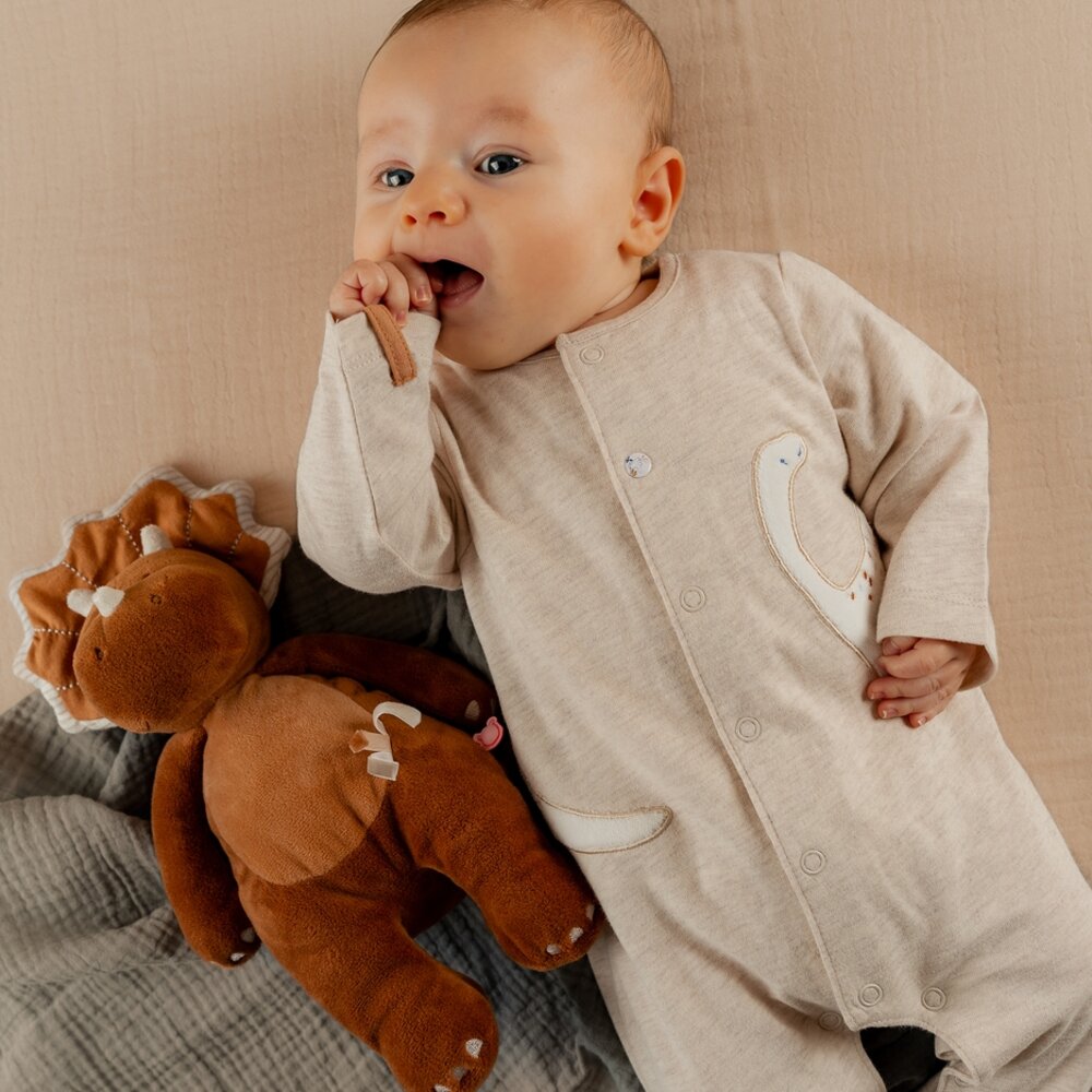 Baby Pyjama Jersey Funny Dino
