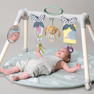 Urban Garden Foldable Gym
