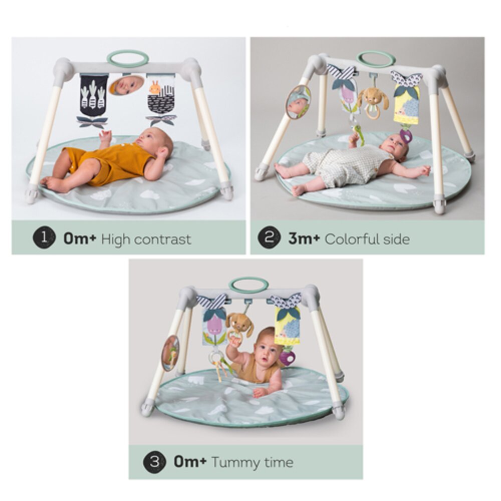 Urban Garden Foldable Gym