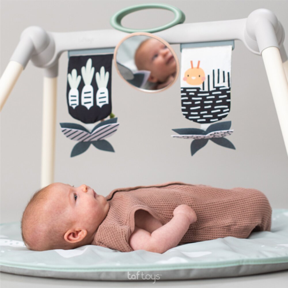 Urban Garden Foldable Gym