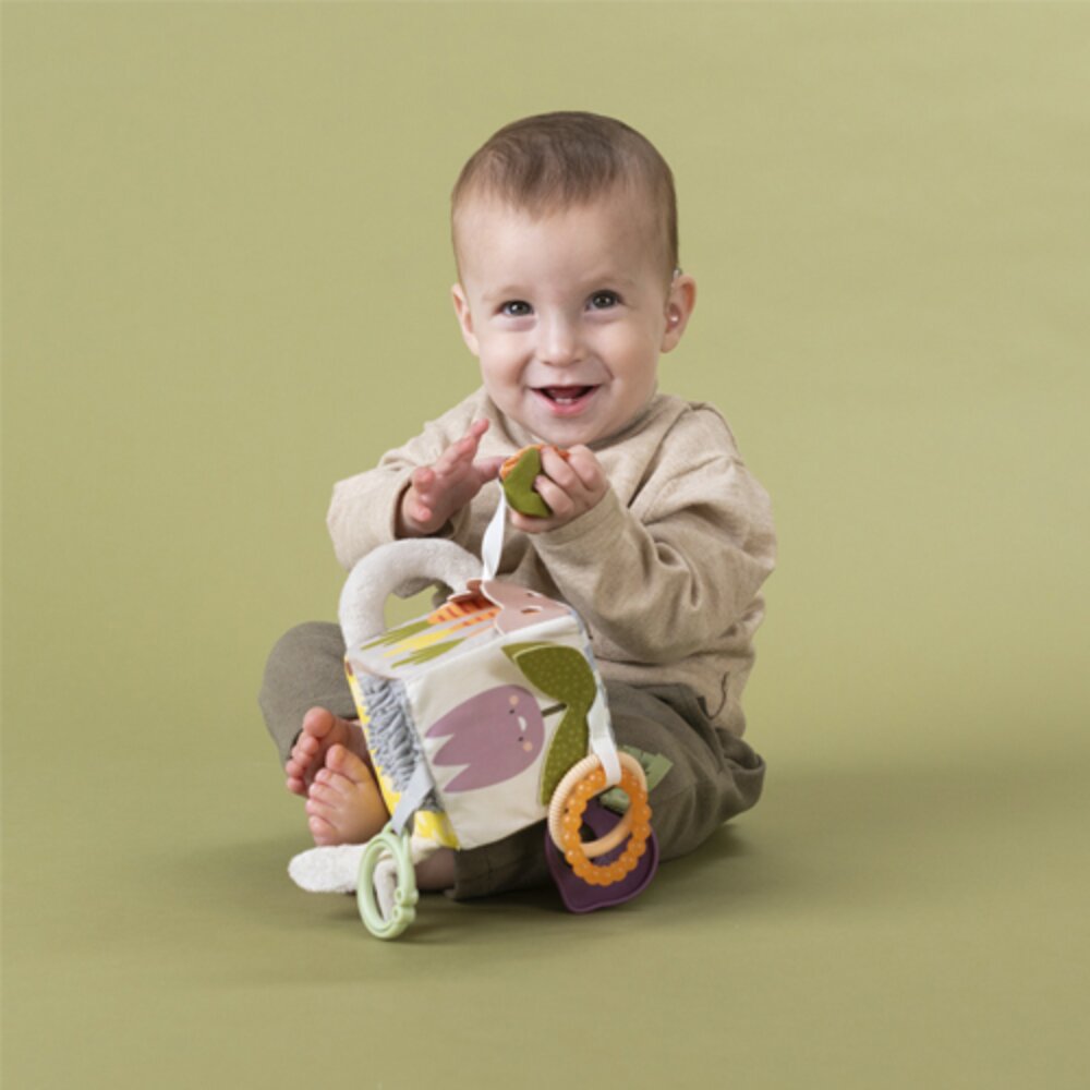 Urban Garden Activity Cube