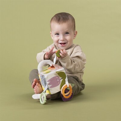 Urban Garden Activity Cube