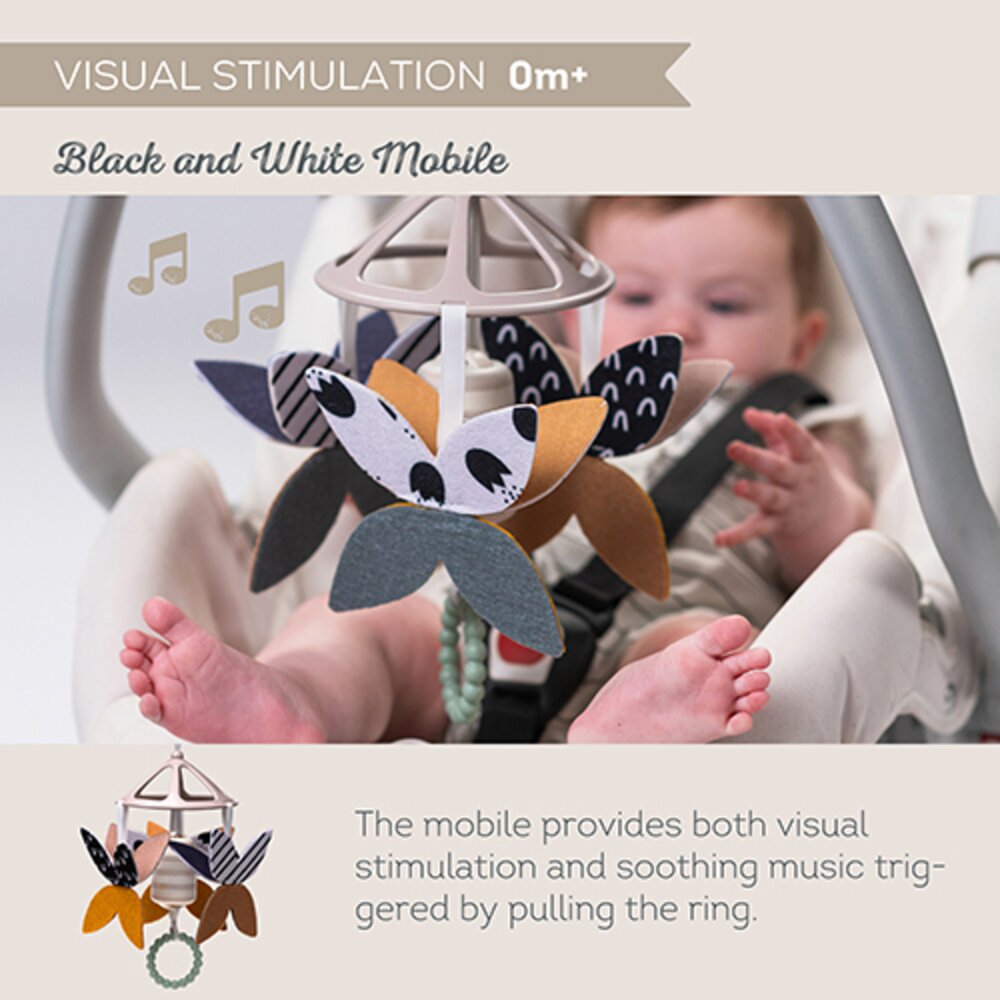 Newborn Black & White Kit