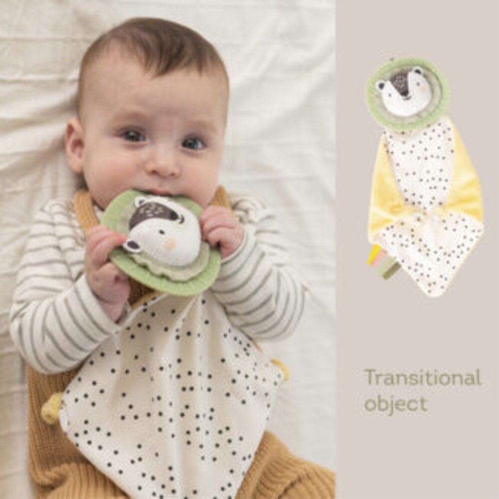 Newborn Develop&Play Kit