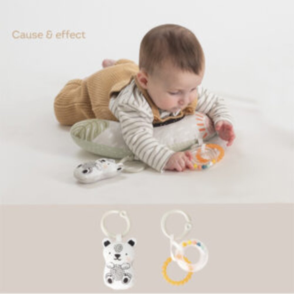 Newborn Develop&Play Kit