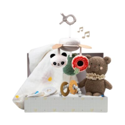 Newborn Luxury Kit