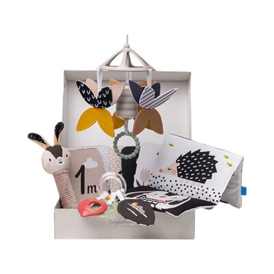 Newborn Black & White Kit