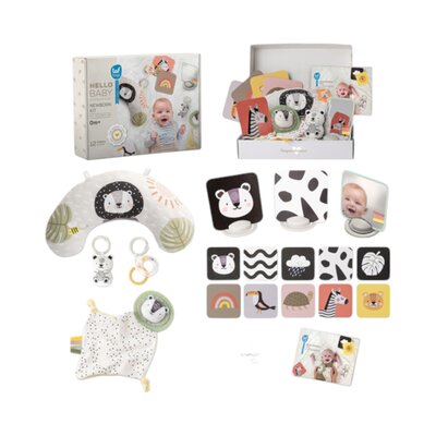 Newborn Develop&Play Kit