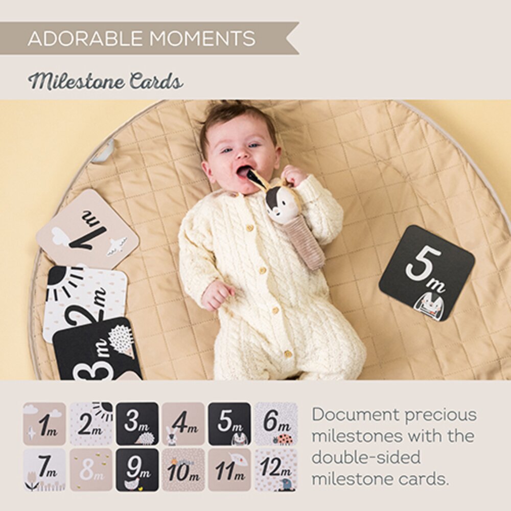 Newborn Black & White Kit