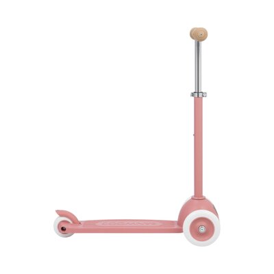 Eco Scooter step Raspberry