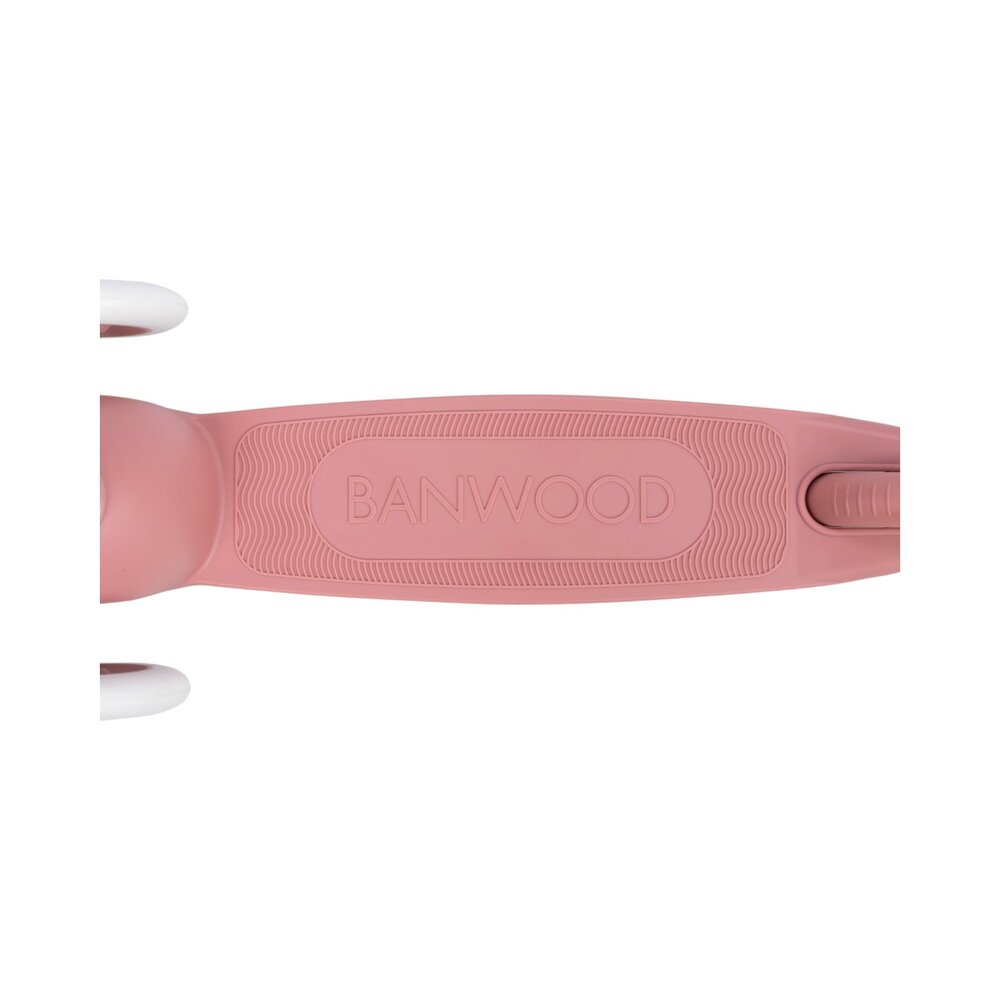 Eco Scooter step Raspberry