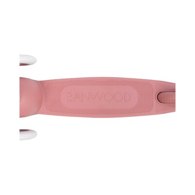 Eco Scooter step Raspberry