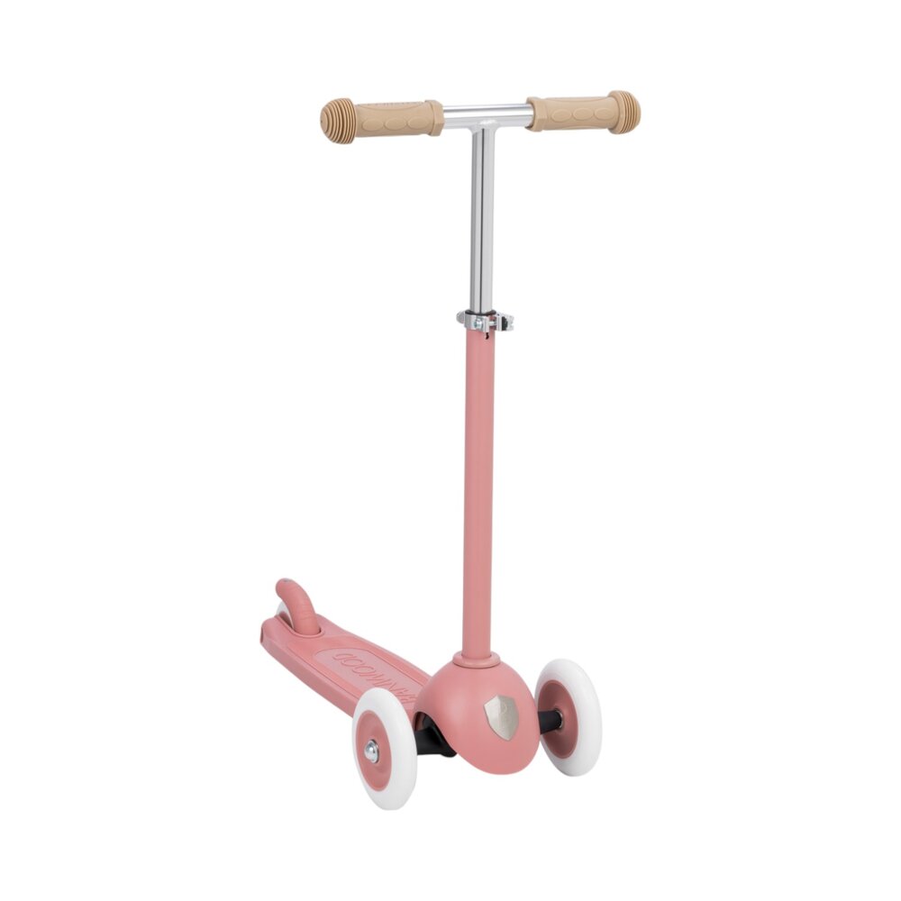 Eco Scooter step Raspberry