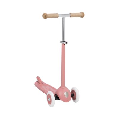 Eco Scooter step Raspberry