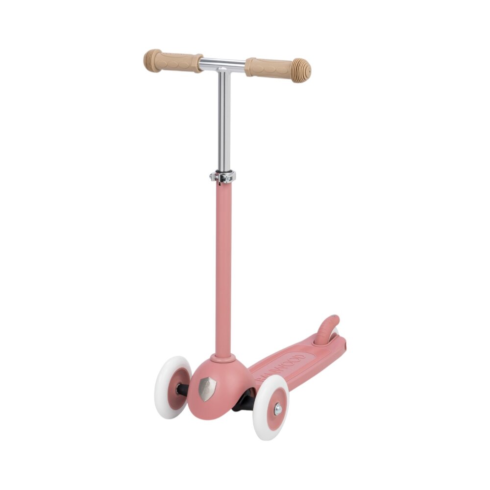Eco Scooter step Raspberry