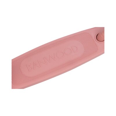 Eco Scooter step Raspberry
