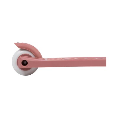 Eco Scooter step Raspberry