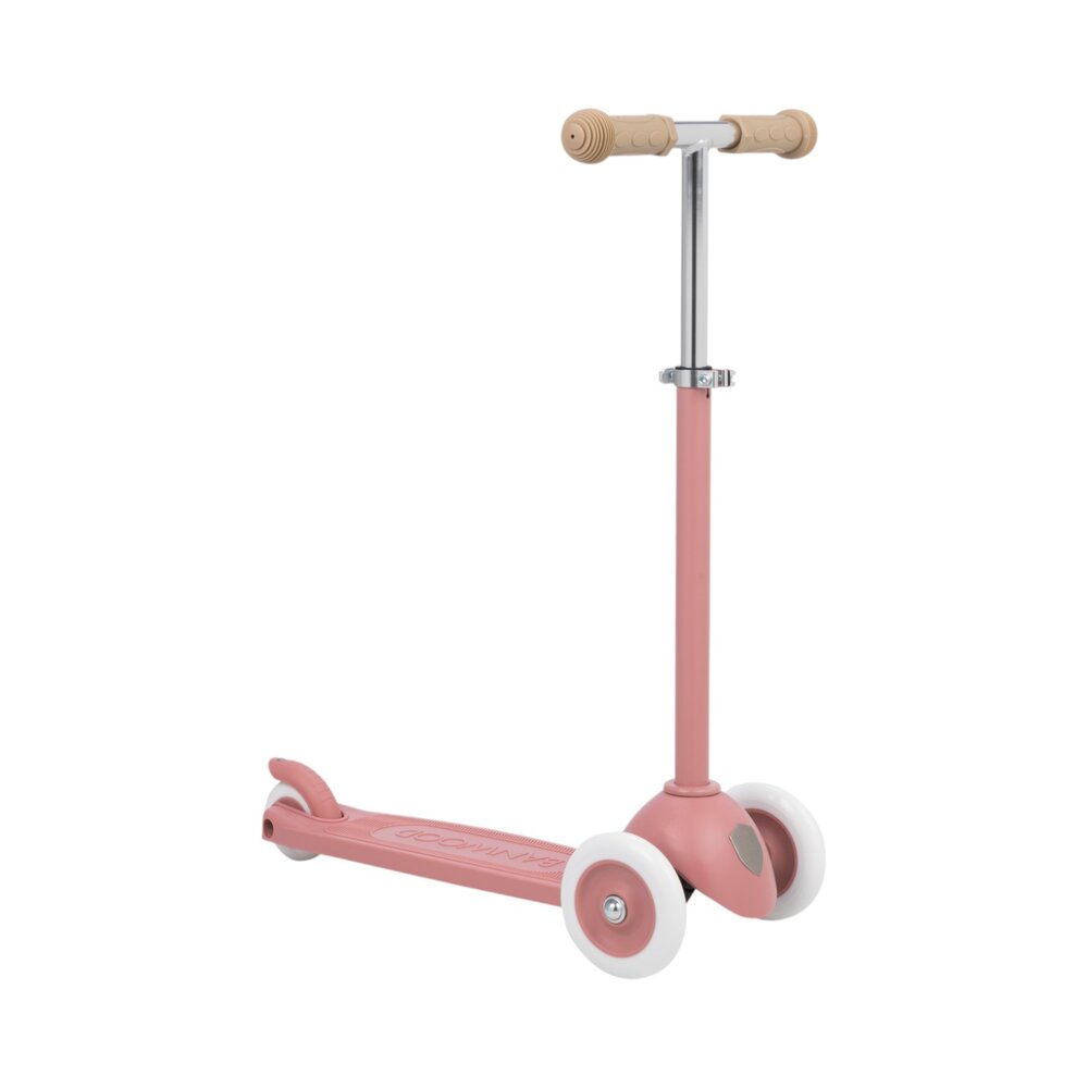 Eco Scooter step Raspberry