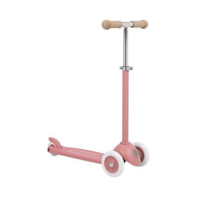 Eco Scooter step Raspberry