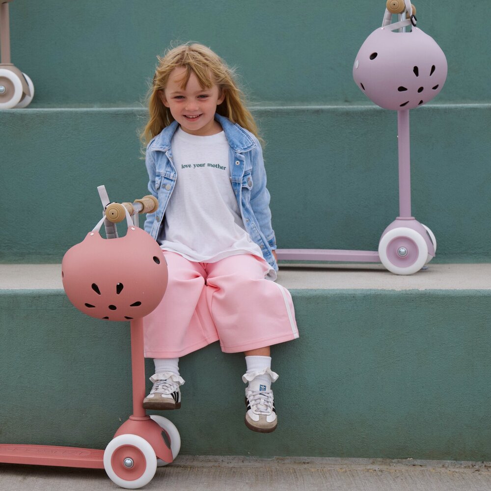 Eco Scooter step Raspberry