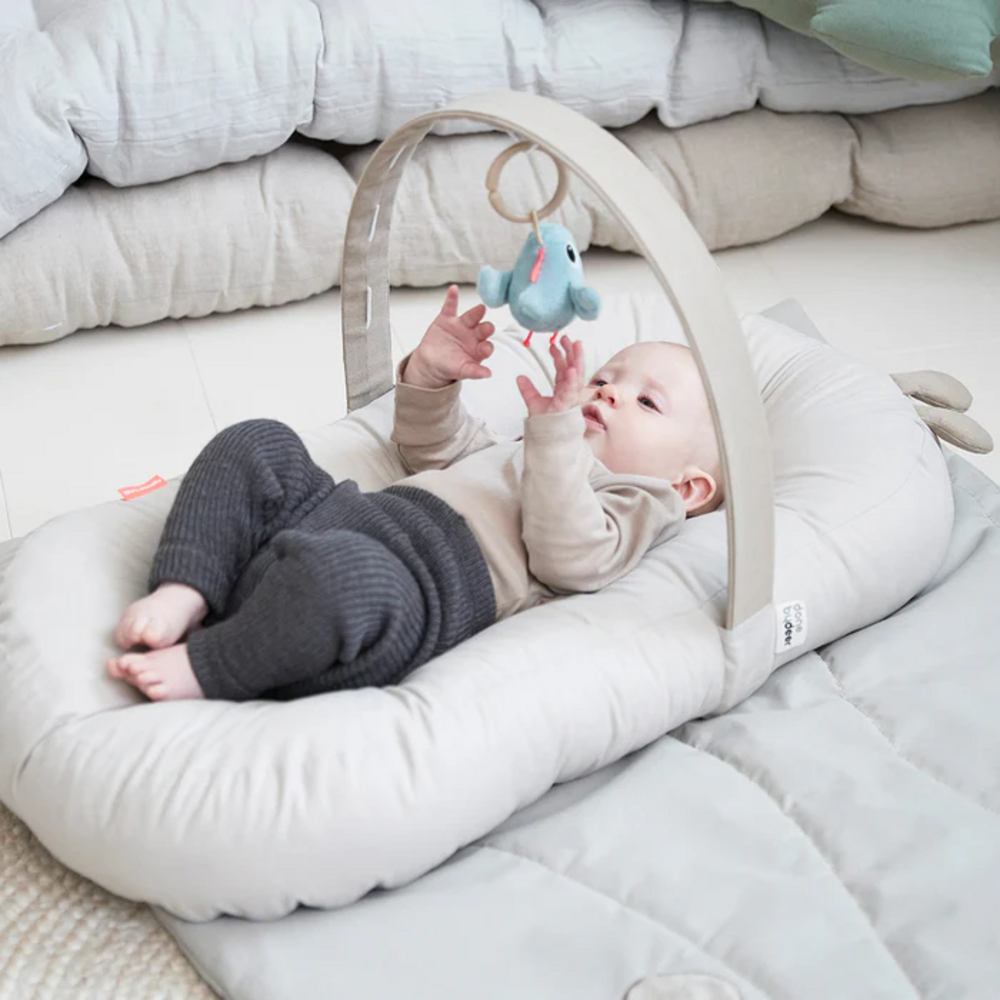 Cozy lounger met acitviteitenboog Raffi