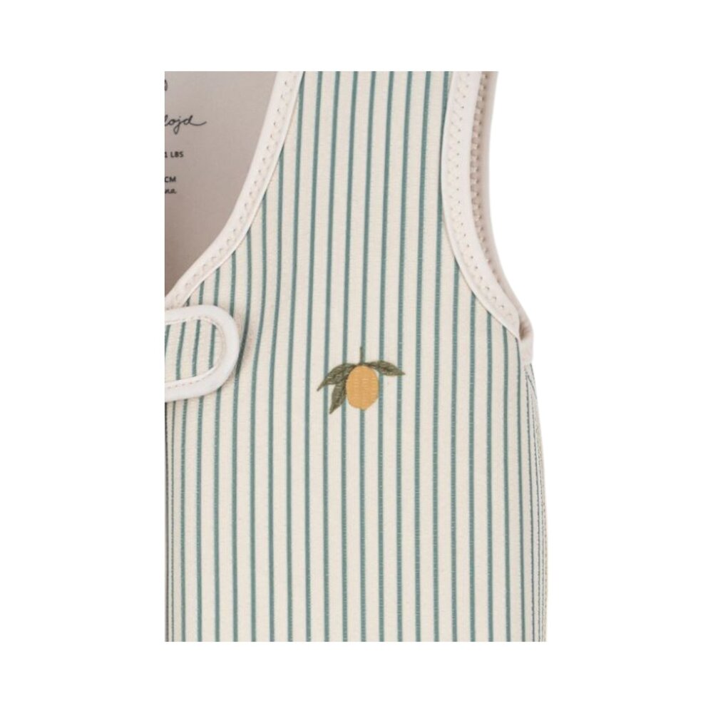 Ellis zwemvest Tea stripe