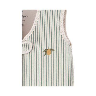 Ellis zwemvest Tea stripe