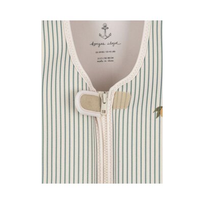 Ellis zwemvest Tea stripe