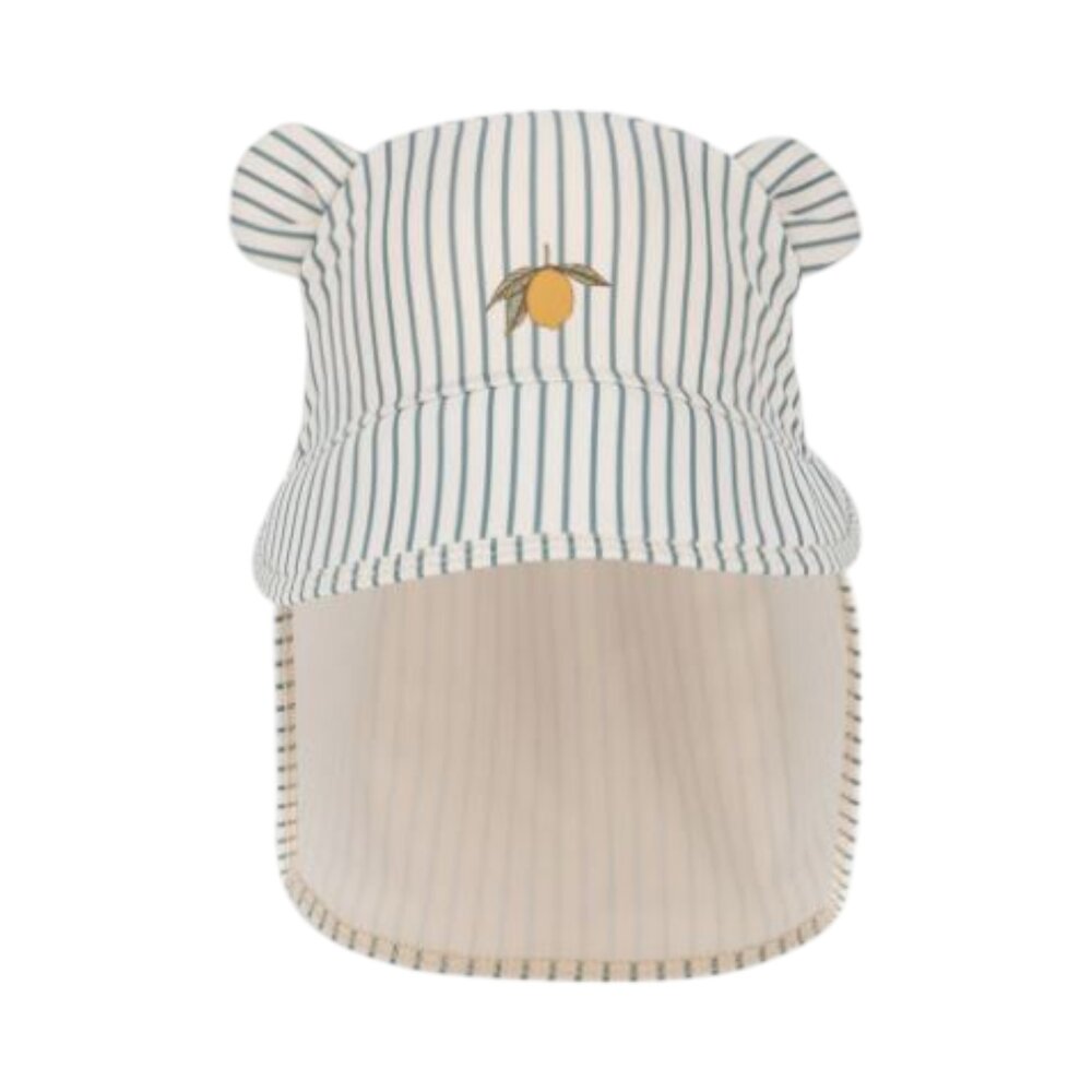 Zonnehoedje Aster Bear Tea stripe
