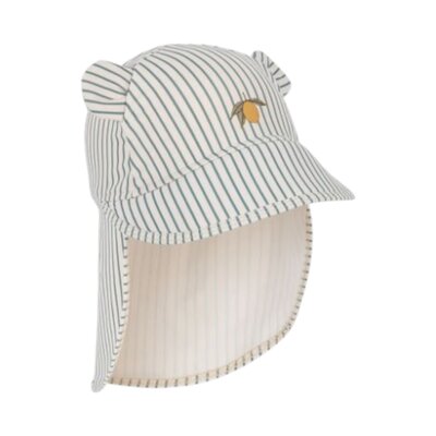 Zonnehoedje Aster Bear Tea stripe