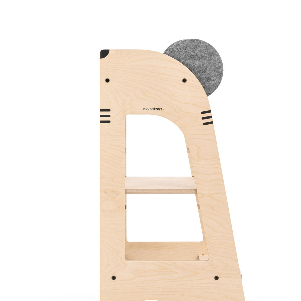 Leertoren Mice