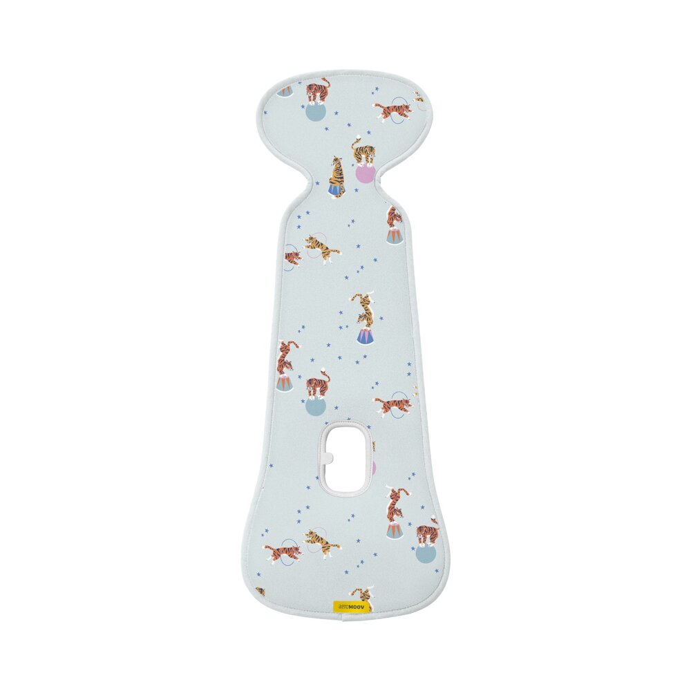 Air layer - group 1 Circus Tiger