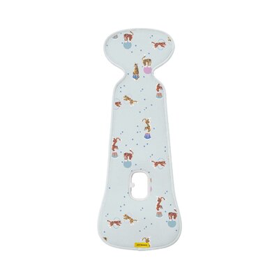 Air layer - group 1 Circus Tiger