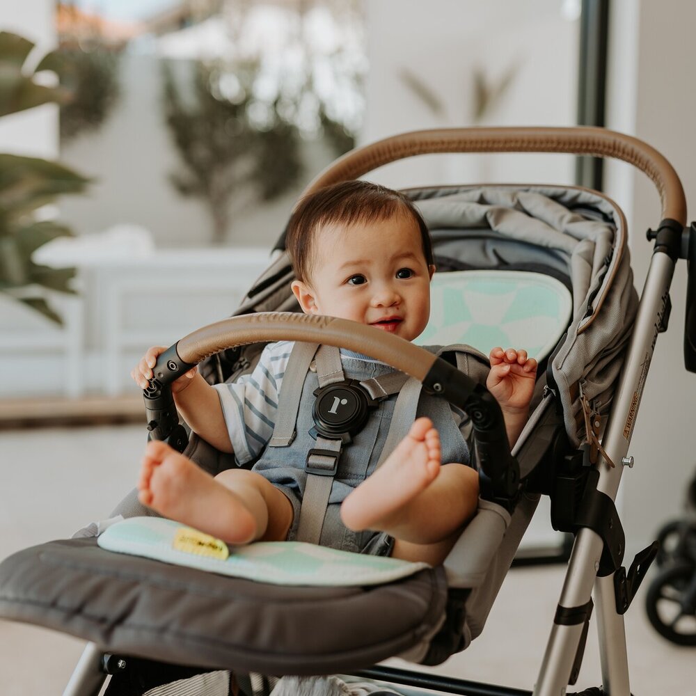 Air layer buggy Cute Cubes